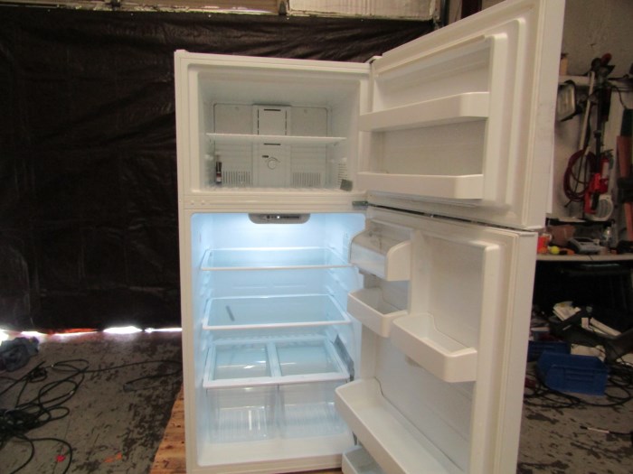 Fisherbrand Value Combo Refrigerator Freezer Model Gtfbv Cpsa For Sale