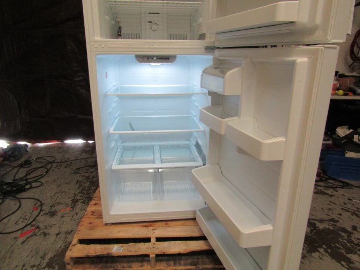 Fisherbrand Value Combo Refrigerator Freezer Model Gtfbv Cpsa For Sale