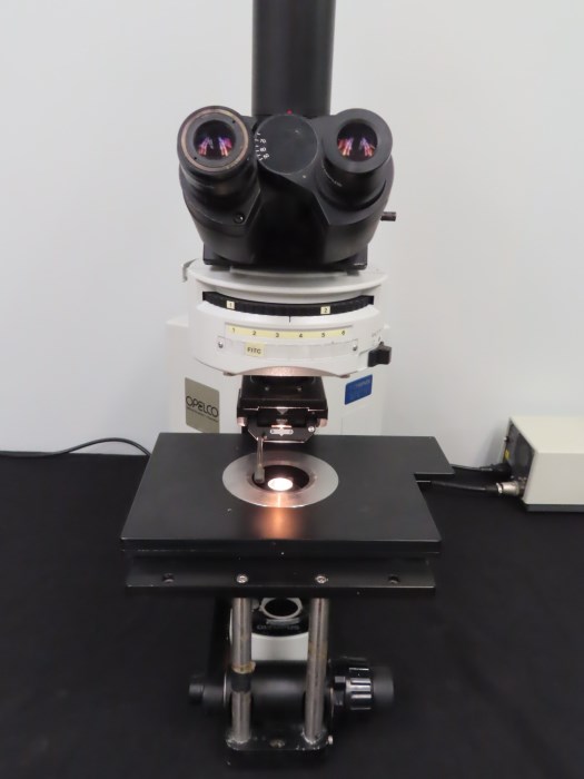 Olympus BX51WI Microscope With DIC Fluorescence For Sale