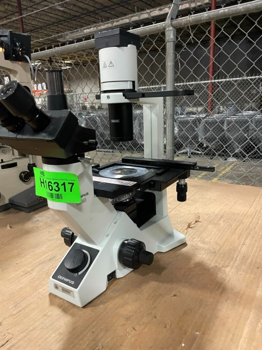 Olympus Ck F Microscope For Sale