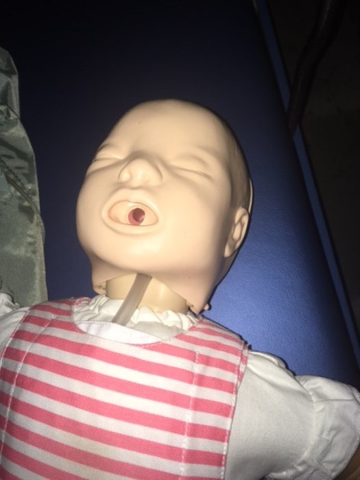 (12) Infant Medical Training Manikins for sale