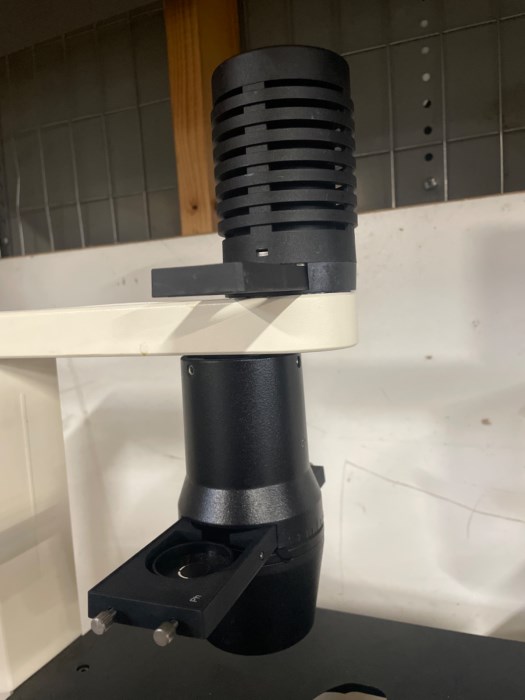 Zeiss Axiovert 25 Tabletop Microscope for sale